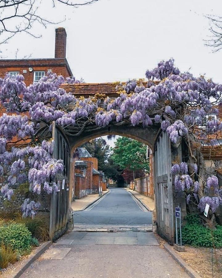 Winchester Retreat Exterior foto